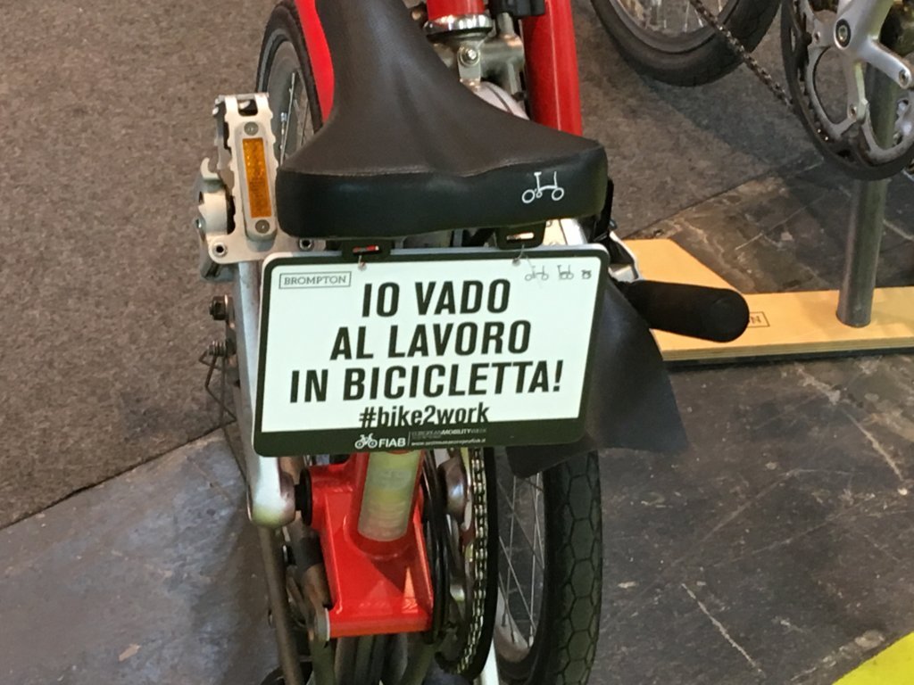 IMG_0358 (FILEminimizer)