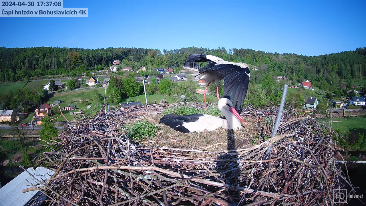 Živě z čapího komína firmy KARA v Bohuslavicích u Trutnova 9-7-18 screenshot