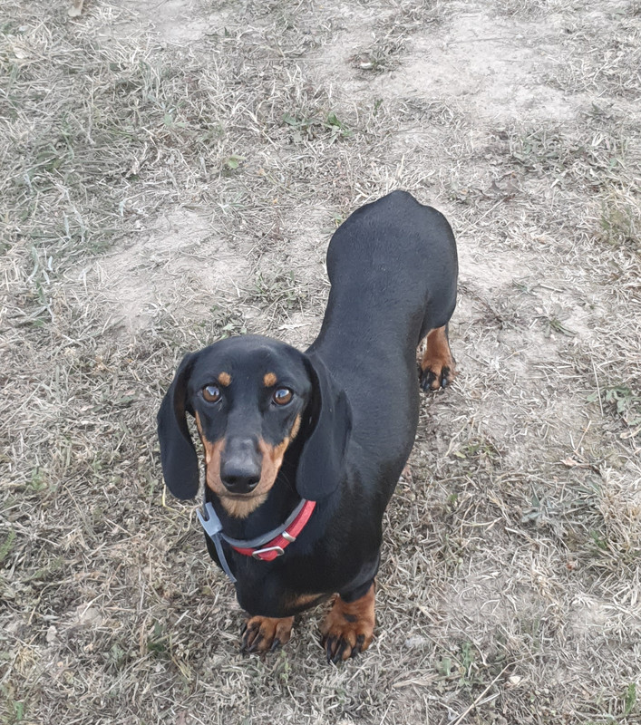 [Image: 20220718-184714.jpg]