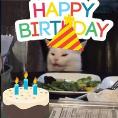 womann-yelling-at-cat-14.png