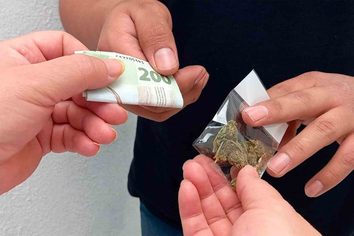 Narcojuniors se libran de prisión en Saltillo porque narcomenudeo “no es grave”