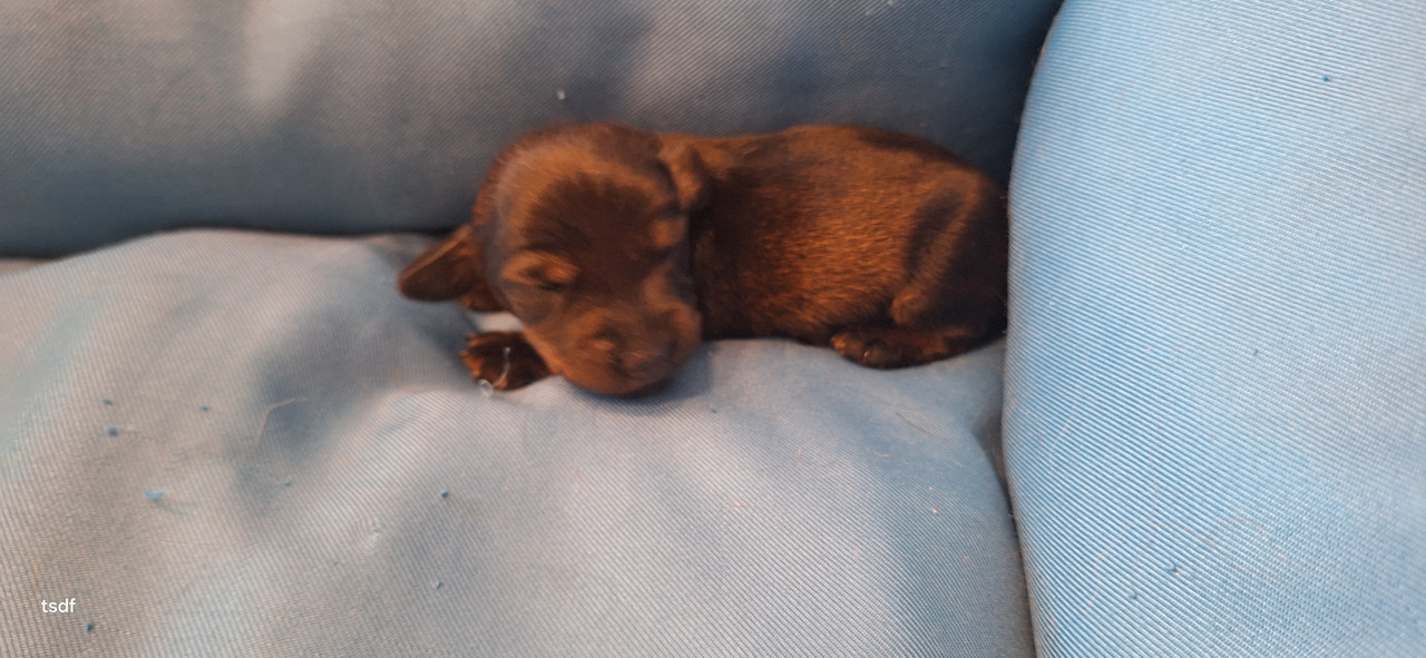 [Image: 20250422-120050.jpg]