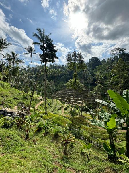 6 Aviones, 3 barcos y 2 trenes, empezando en Estambul y terminando Kuala Lump - Blogs de Indonesia - TERCERA PARADA: BALI (39)