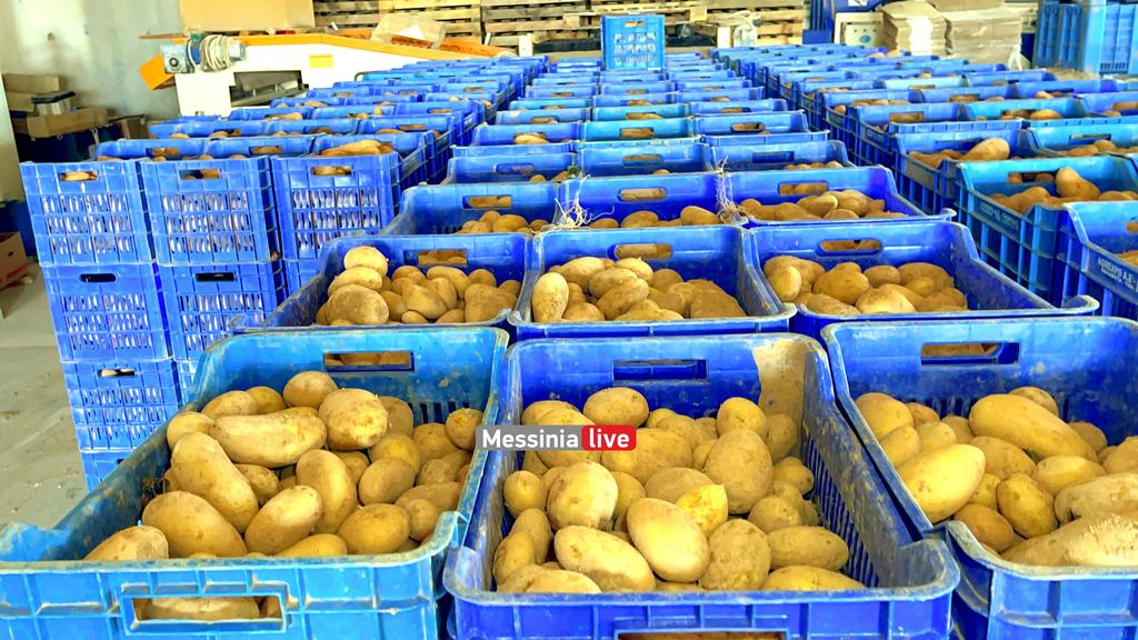 goumas-patates-IMG-5627