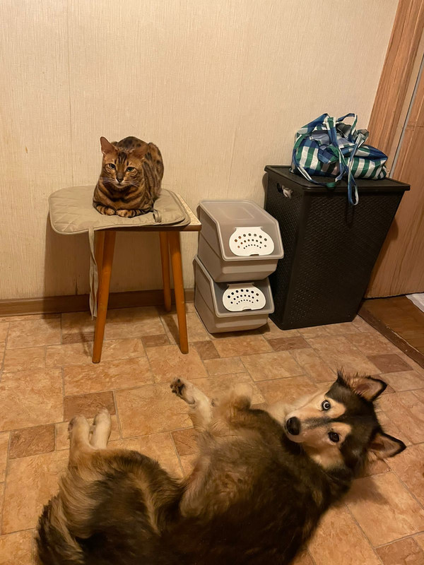 DC648850-272F-4636-BDF9-A0A554DE4E56