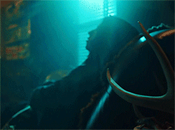 https://i.postimg.cc/P5nS4zF9/d2cf51c8-6e2499c9-540.gif