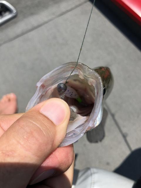 5C0AE0B2-B7E1-4A9A-B9E5-77831247C6A2