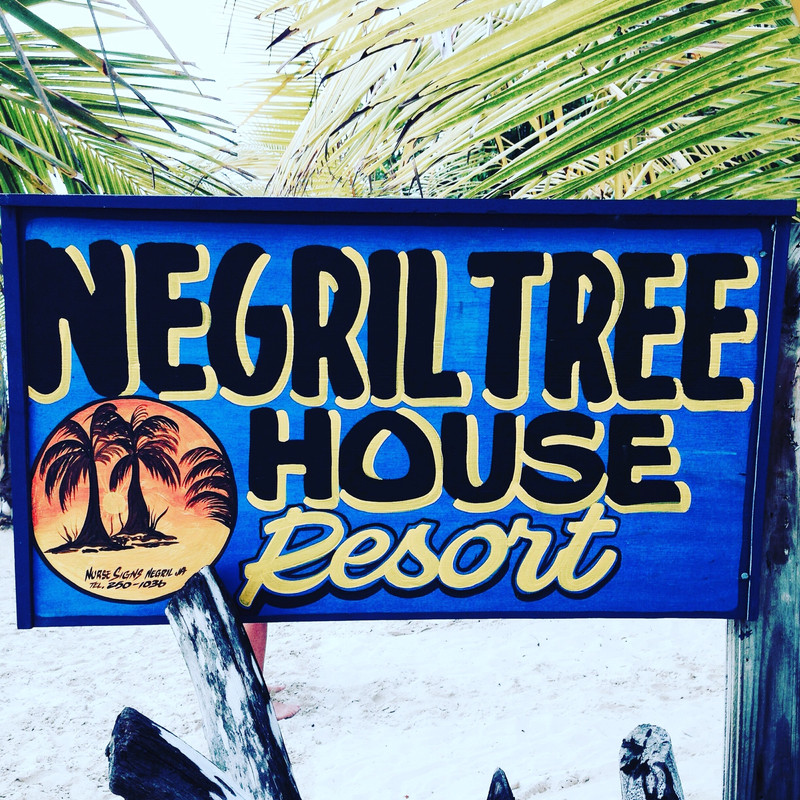 D1C413BA-8397-4469-8013-0E648F035354