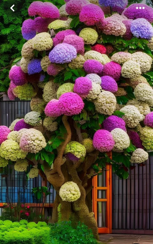 Screenshot_20230904_233858_Pinterest