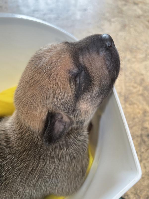 F86BAAA8-6ACB-4907-819F-F6AD6504A9B2