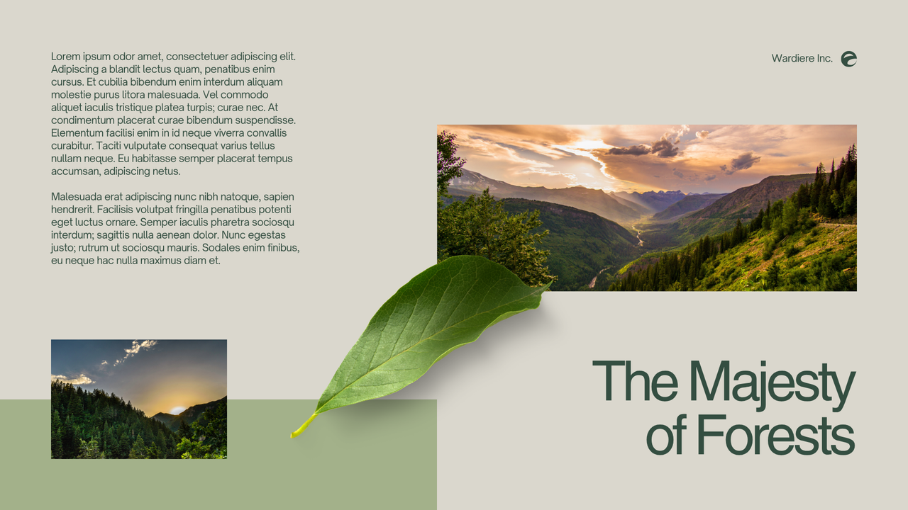 Green and Grey Simple Nature Presentation