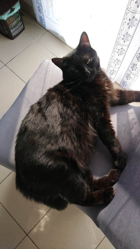 received_144621055157237