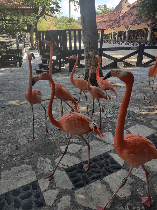 IMG_20230228_100711277_HDR