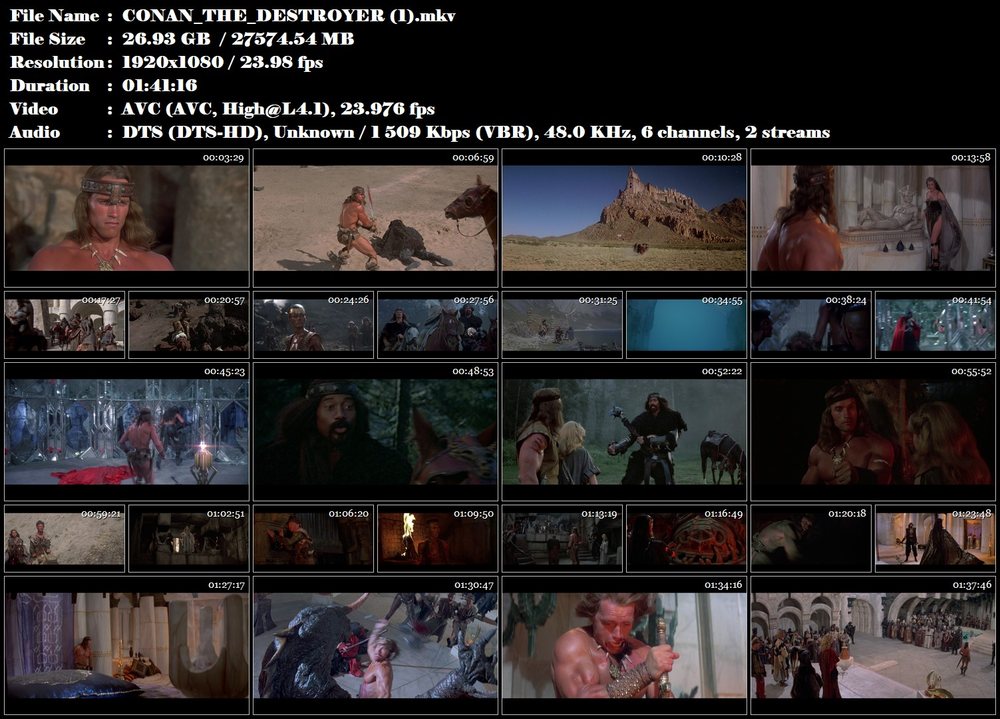 Ničitel Conan / Conan the Destroyer (1984)