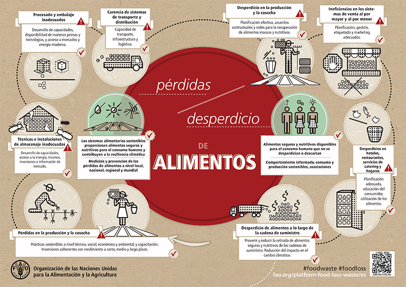 Infografía de la FAO sobre las pérdidas y desperdicio de los alimentos.