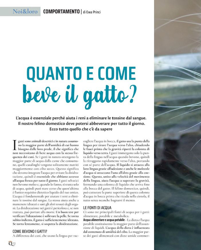 QuattroZampe Ott 2021 (5)