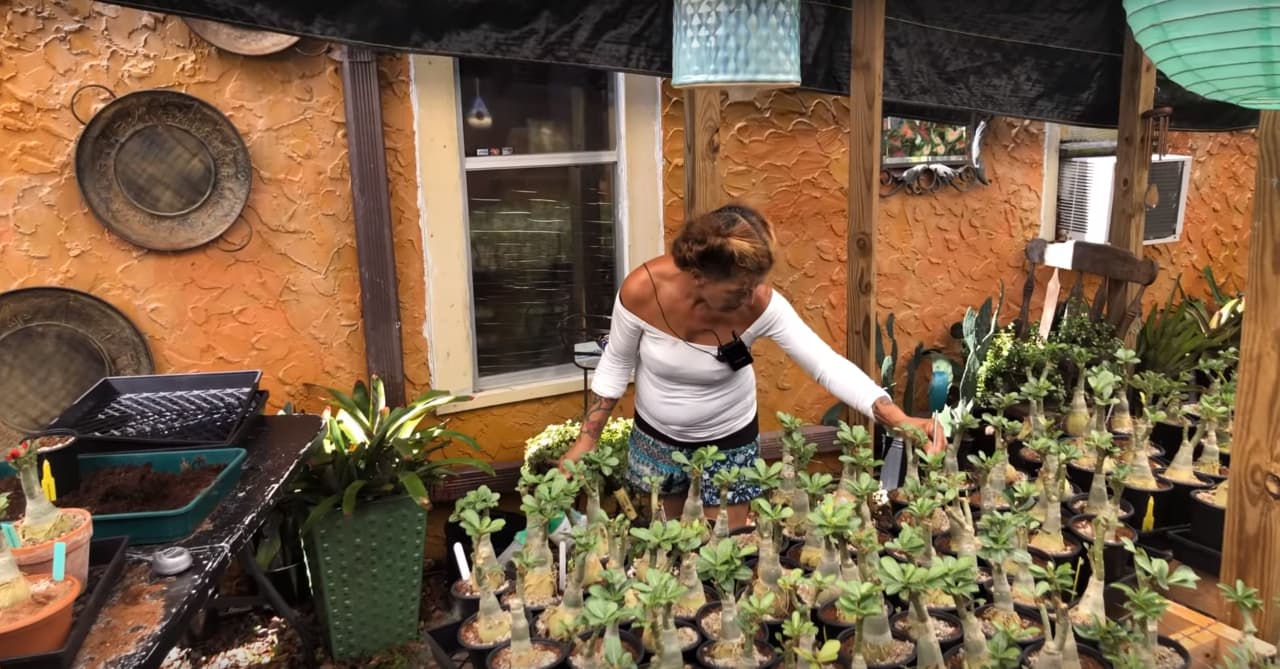 maria-garden-testing-soil-ph-moisture.jpg