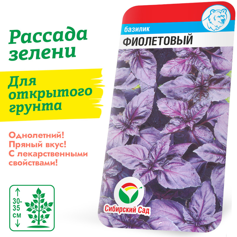 Базилик Фиолетовый