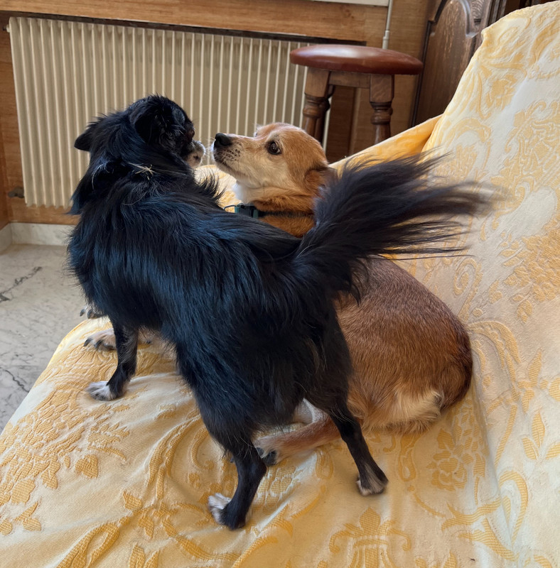 [Image: IMG-7160.jpg]