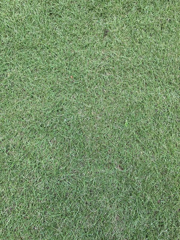 F596543F-1412-4F42-BF63-E090CC7B71AB