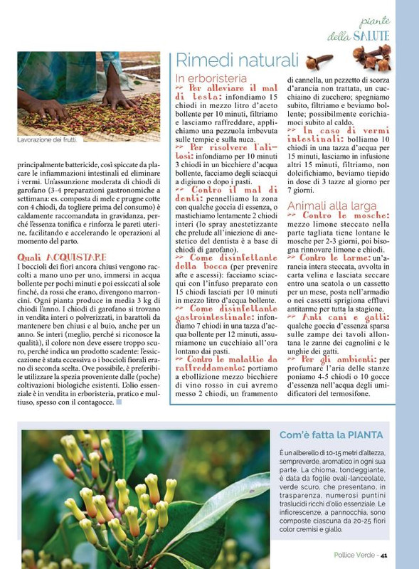 Pol Ver Nov-Dic 2022 (8)