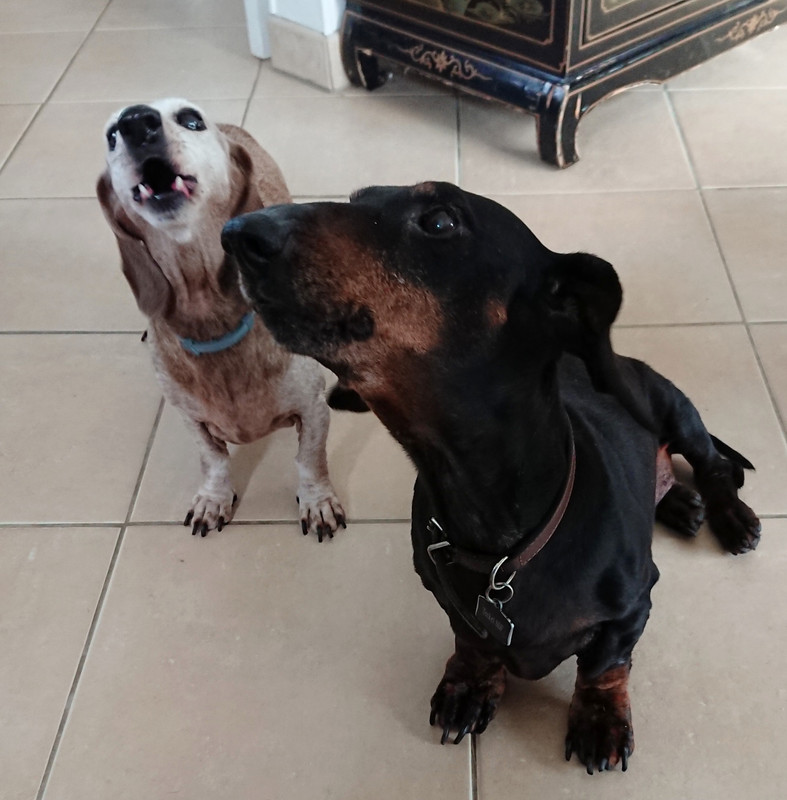 [Image: 20230317-095236.jpg]