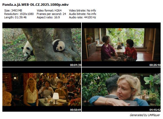 Panda a já / Moon Le Panda (2025)