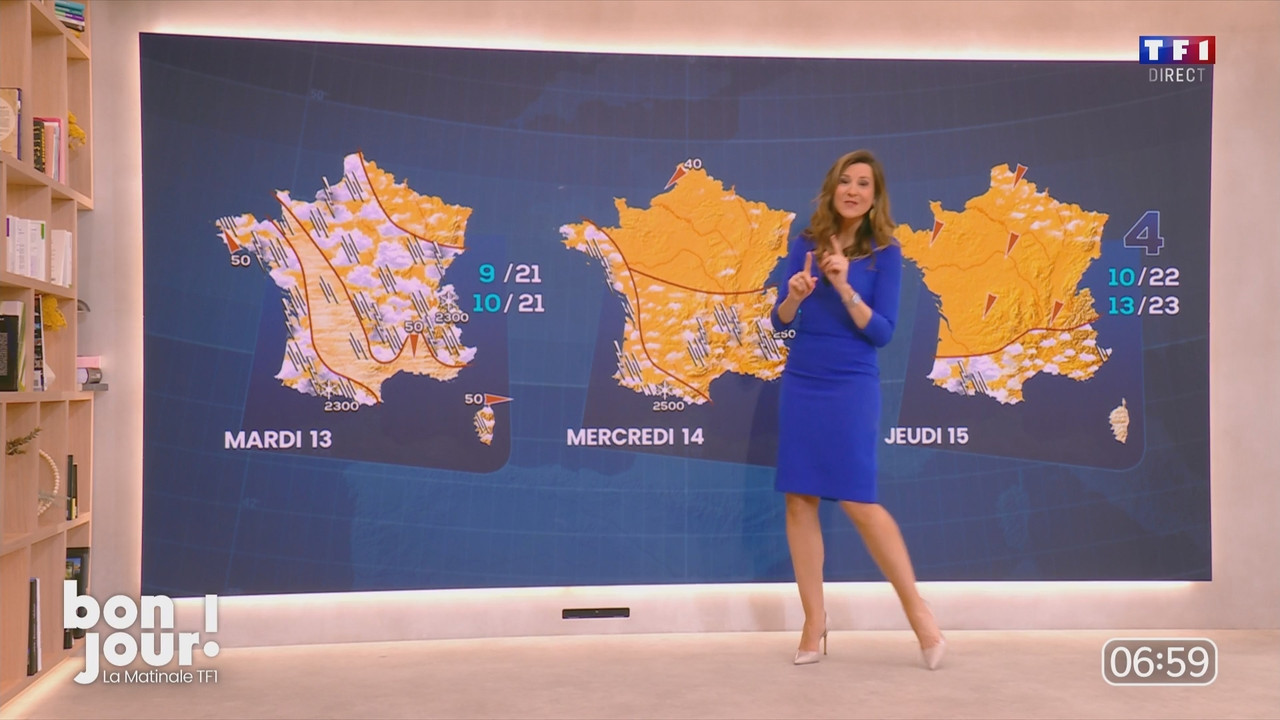 Bonjour Daniela 120525.mp4_snapshot_00.09.48.045