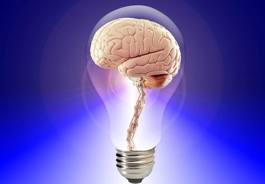 cervello limite apprendimento possibilita