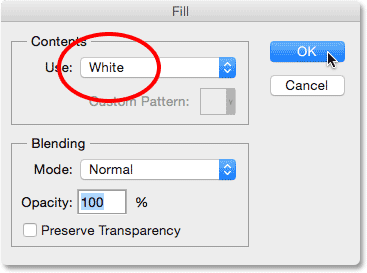 fill-use-white