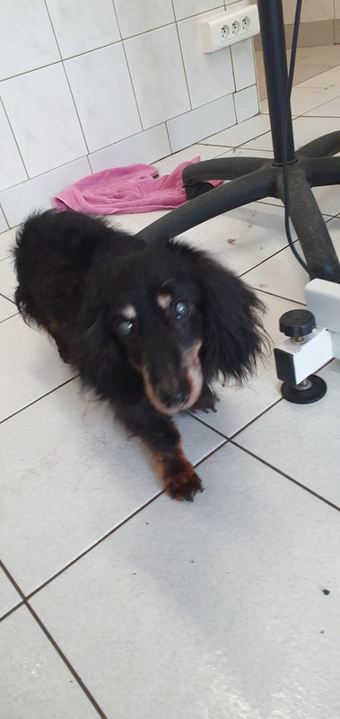 [Image: 20230322-143034.jpg]