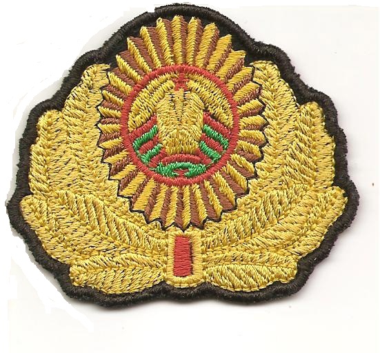 Кокарда МВД РБ