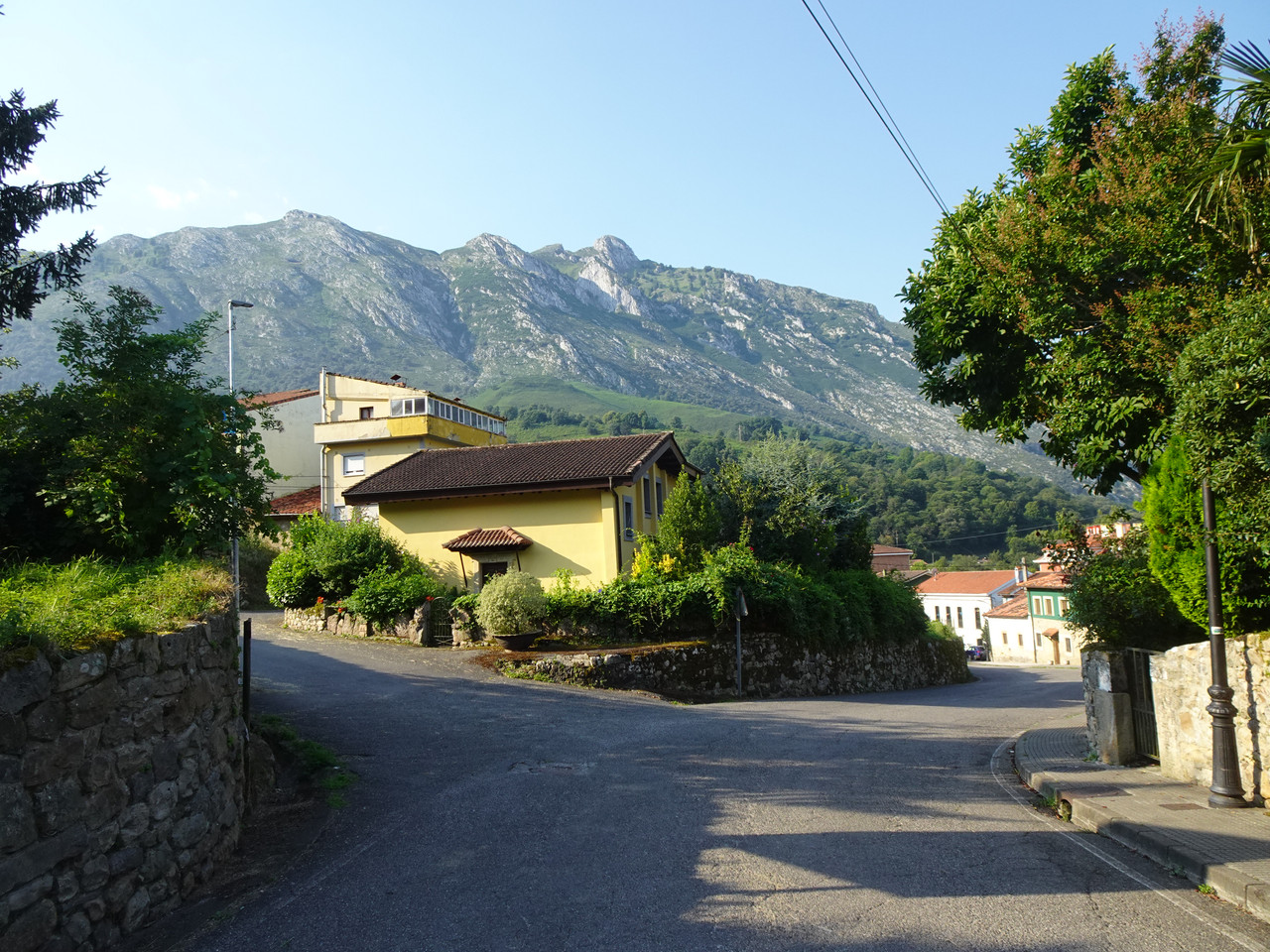 DSC02082