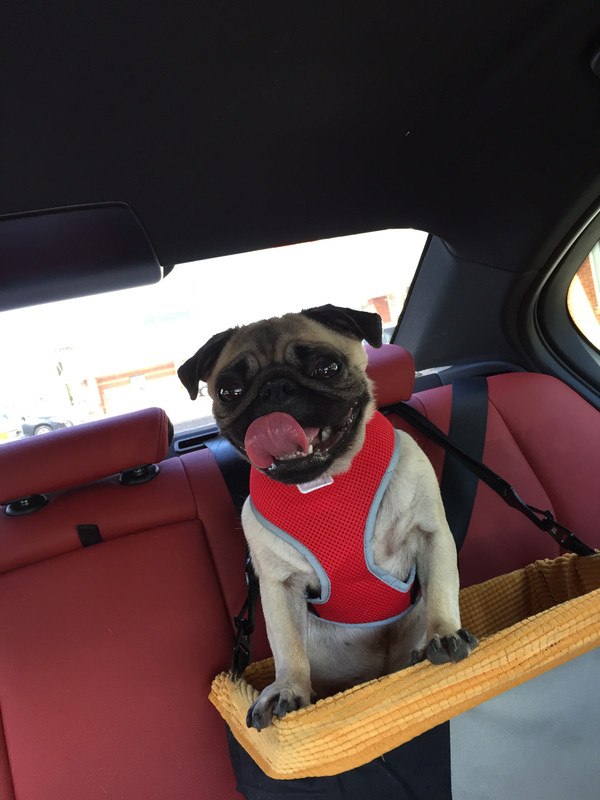 97EA3725-424B-431C-9DBA-B62A1D1BEE7C