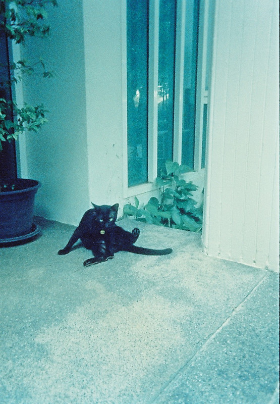 Vision3HFJun23_06_crop