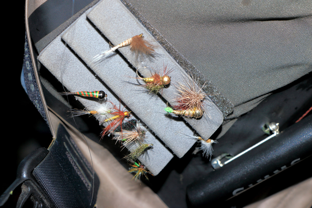 IMG_6069 (9000 x 6000)