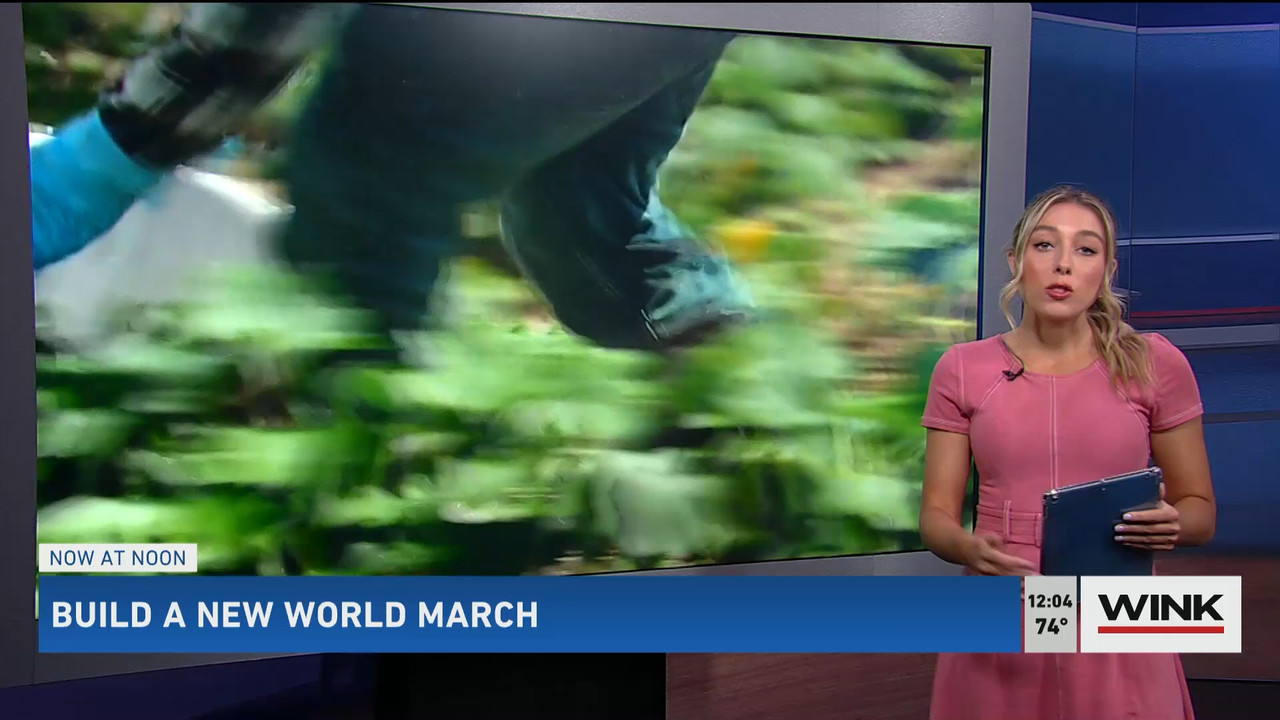 03.14 - 16.00.00 - The WINK Noon News  ᴺᵉʷ. Midday news update..ts_snapshot_10.35.630