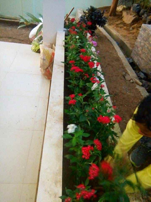 Landscaping Example 2