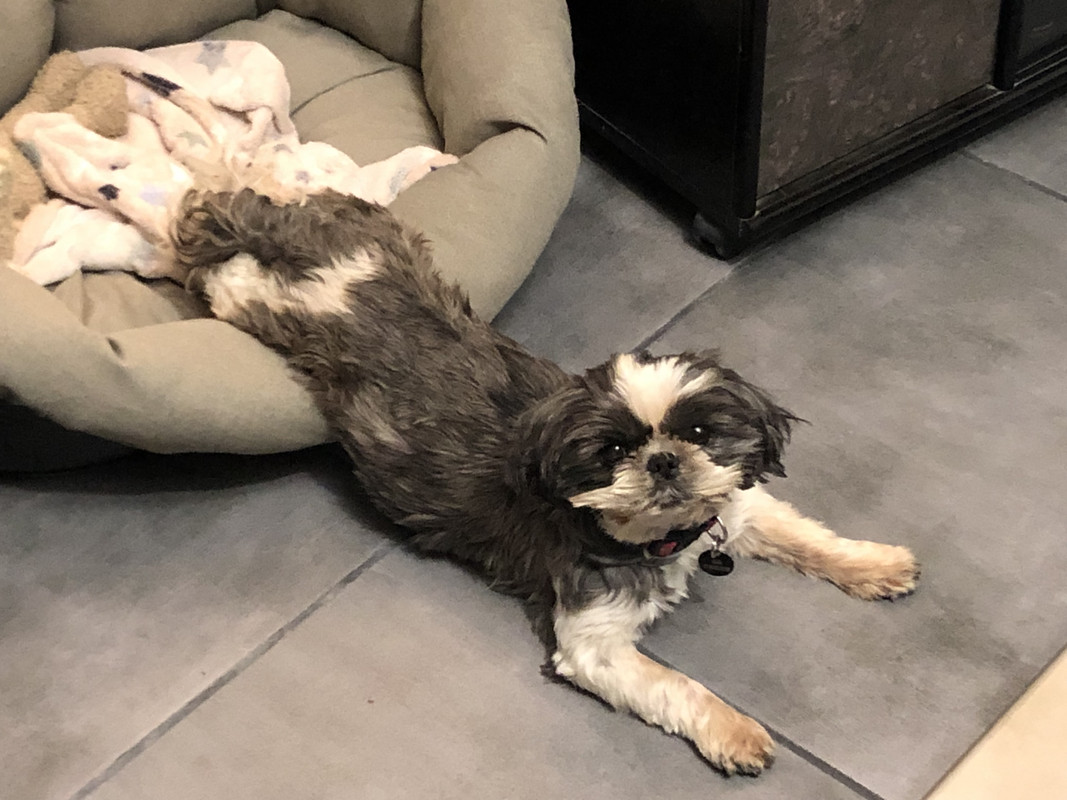 [Image: E5-B75910-7000-4601-B91-E-1-D6-B1-E614197.jpg]