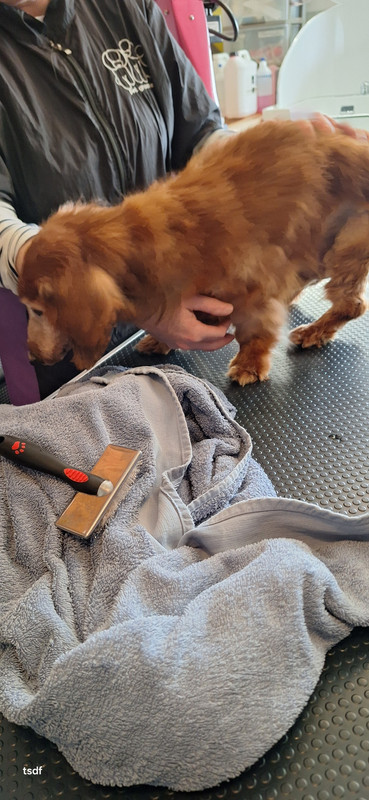 [Image: 20250313-092211.jpg]