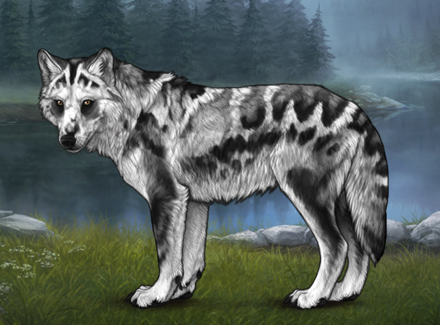 Intwine Wolves Indra |:| Wolvden