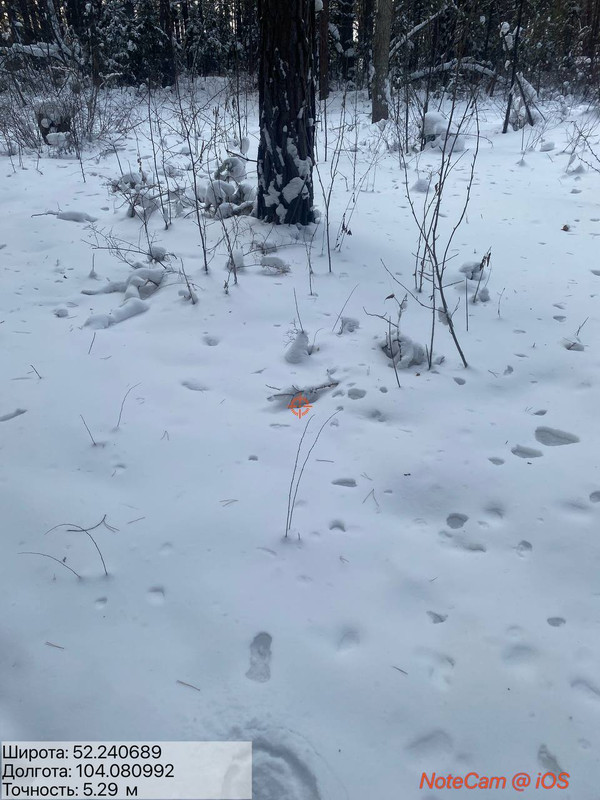 IMG 20260130 143050 068