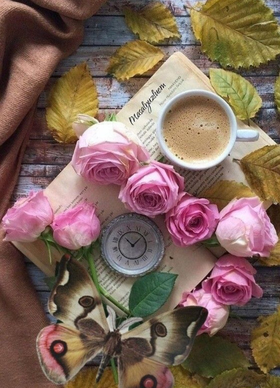 Screenshot_20221209-001057_Chrome