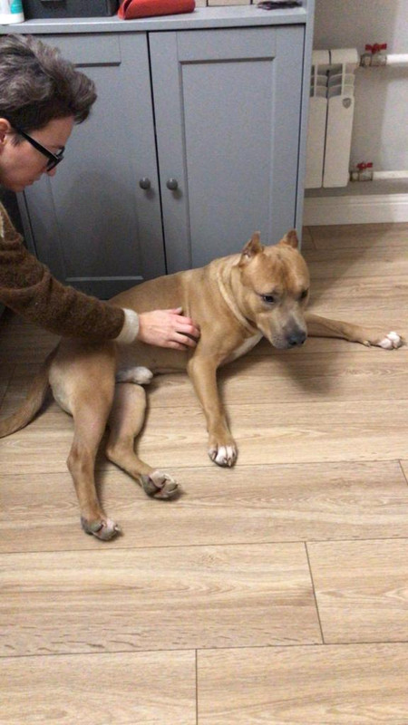 F706AE74-79B9-4E4A-A5CF-AA194B2C2345