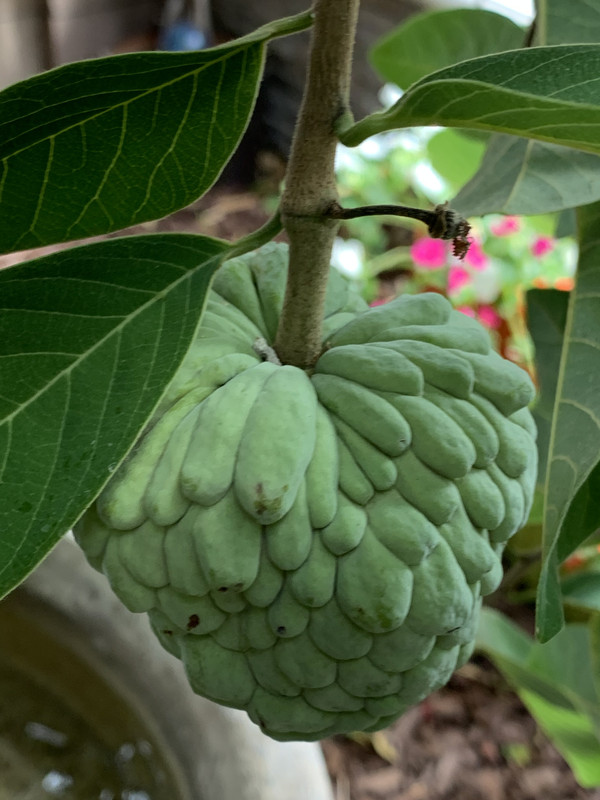 3885BE66-4E82-4054-9505-6F3B443F7C55