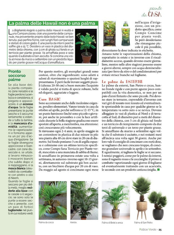 Pol Ver Apr-Mag 2022 (4)