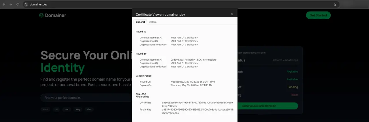 Custom domains and SSL in Rails using Caddy
