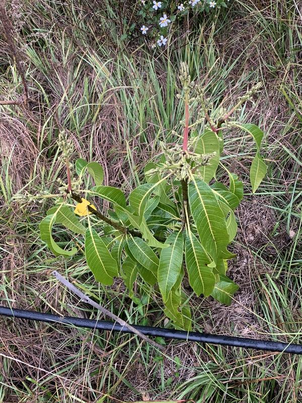 BEF4B5CD-50E5-4177-A031-D0F6404EE41E