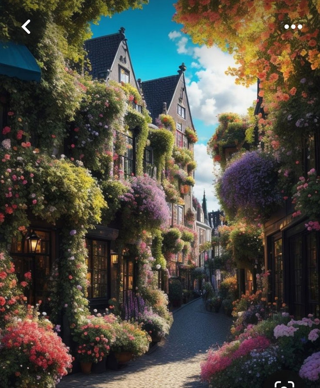 Screenshot_20240507_174949_Pinterest