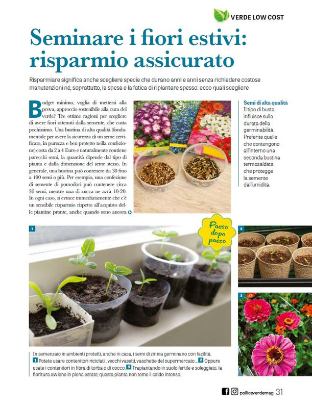 Pol Ver Giu 2025 (3)